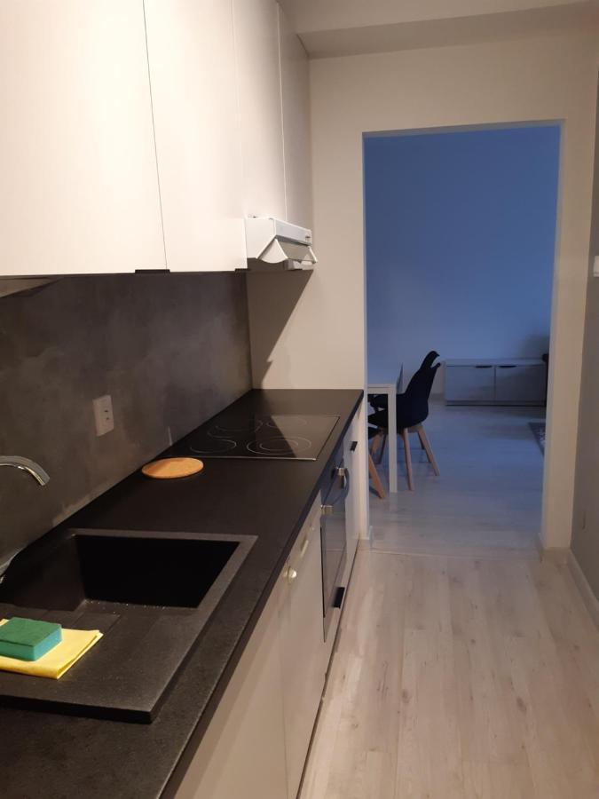Lewa Lodz Apartment Ngoại thất bức ảnh